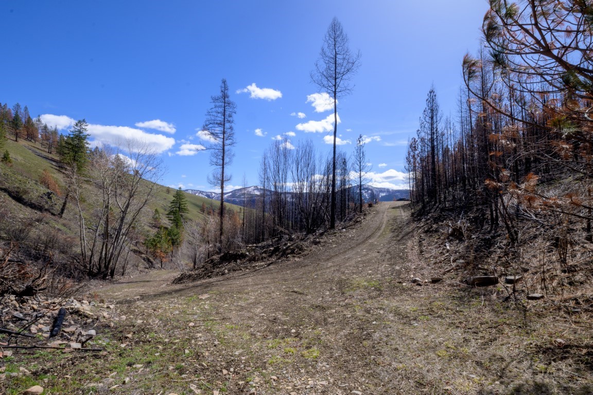 NHN McLaughlin Creek Road