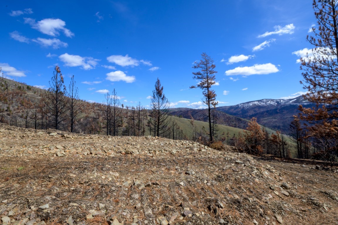 NHN McLaughlin Creek Road