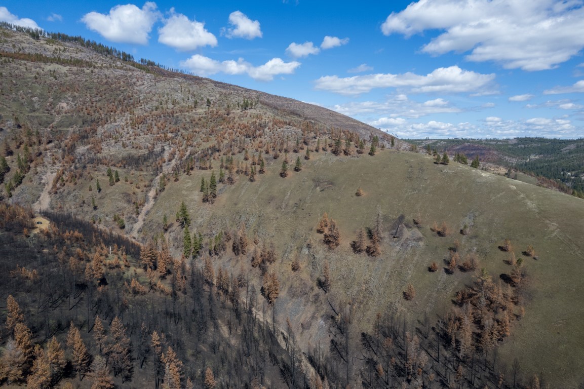 NHN McLaughlin Creek Road