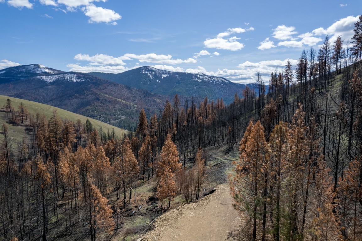 NHN McLaughlin Creek Road