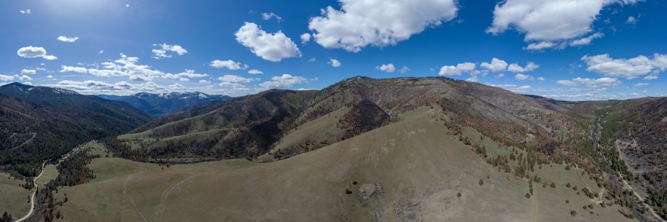 NHN McLaughlin Creek Road