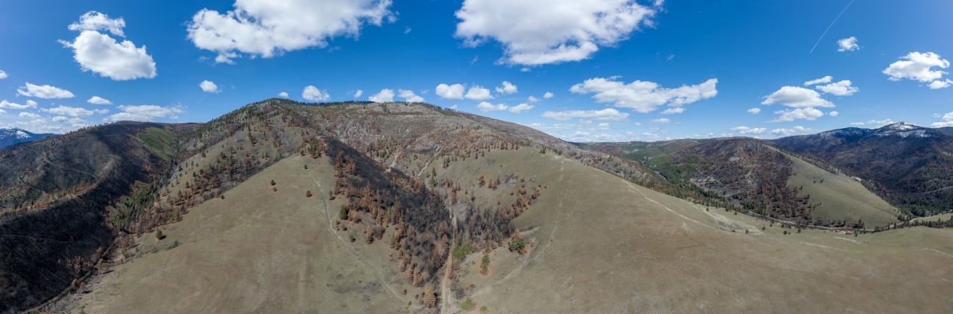 NHN McLaughlin Creek Road