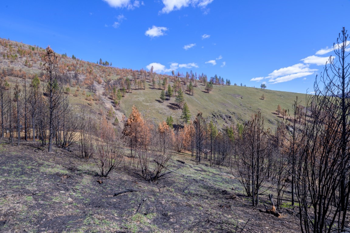 NHN McLaughlin Creek Road