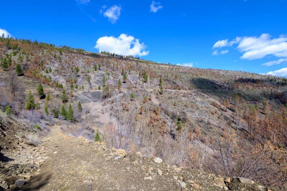 NHN McLaughlin Creek Road