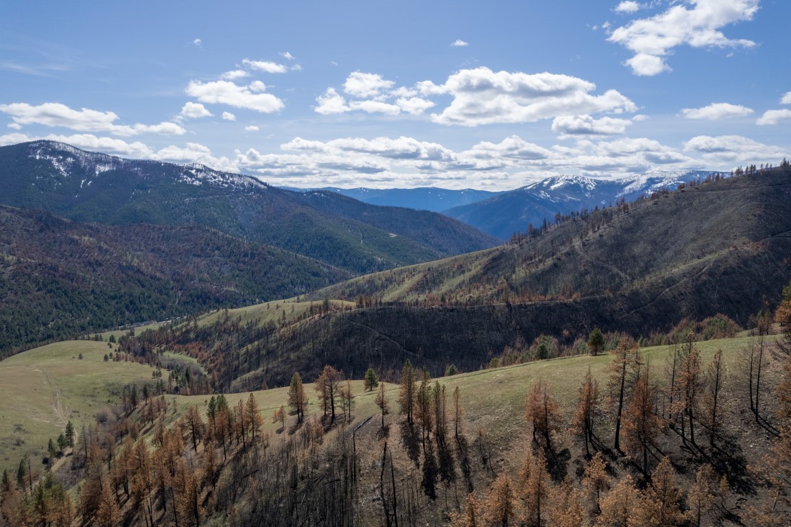 NHN McLaughlin Creek Road