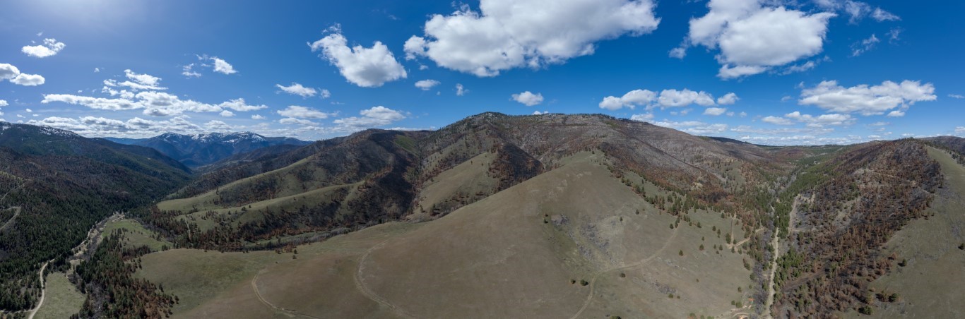 NHN McLaughlin Creek Road