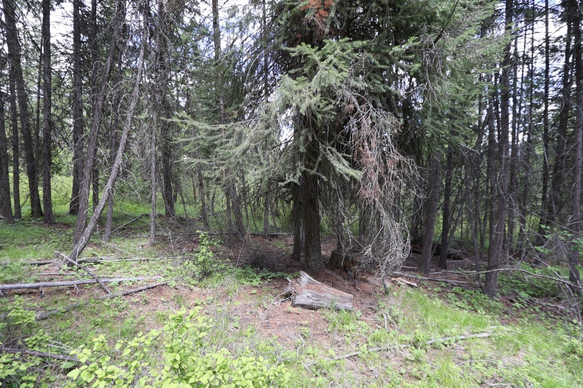 NHN Tract 1B E Fork Combest Creek Road