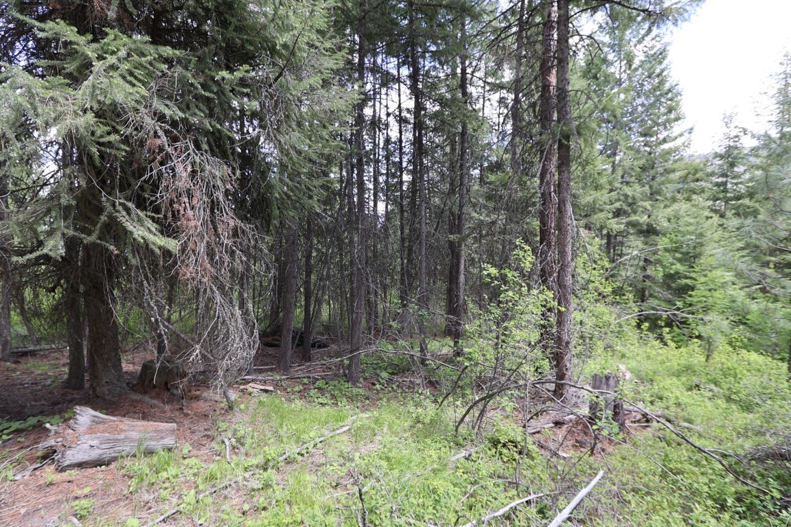 NHN Tract 1B E Fork Combest Creek Road