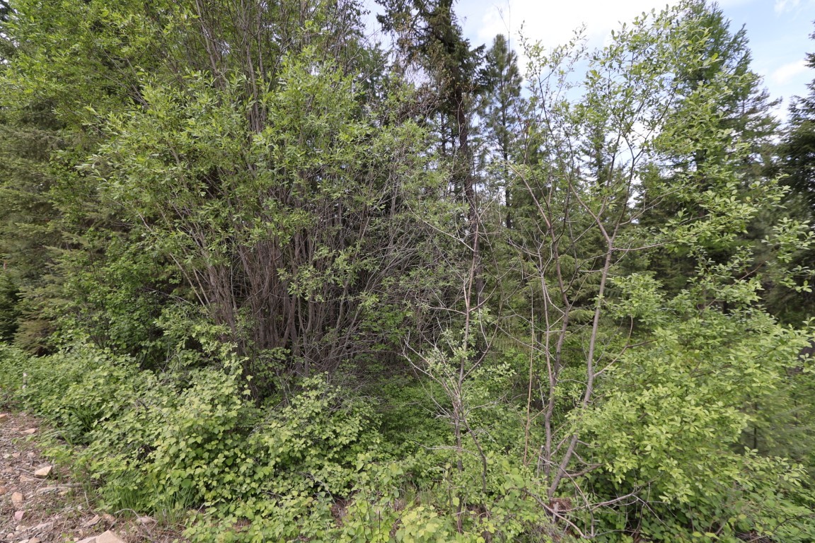 NHN Tract 1B E Fork Combest Creek Road