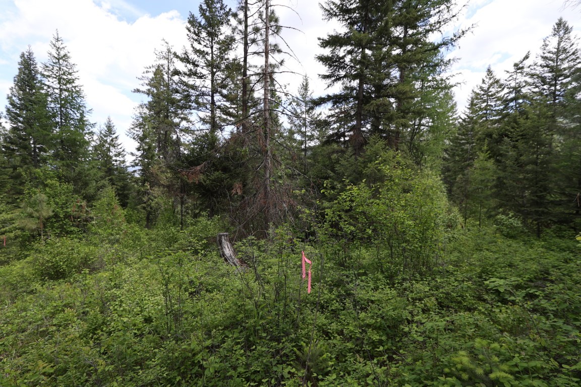 NHN Tract 1B E Fork Combest Creek Road