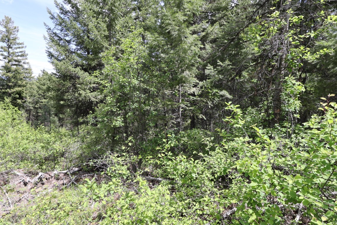 NHN Tract 1B E Fork Combest Creek Road