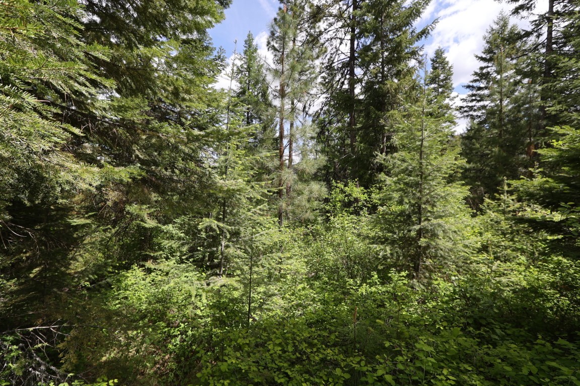 NHN Tract 1B E Fork Combest Creek Road