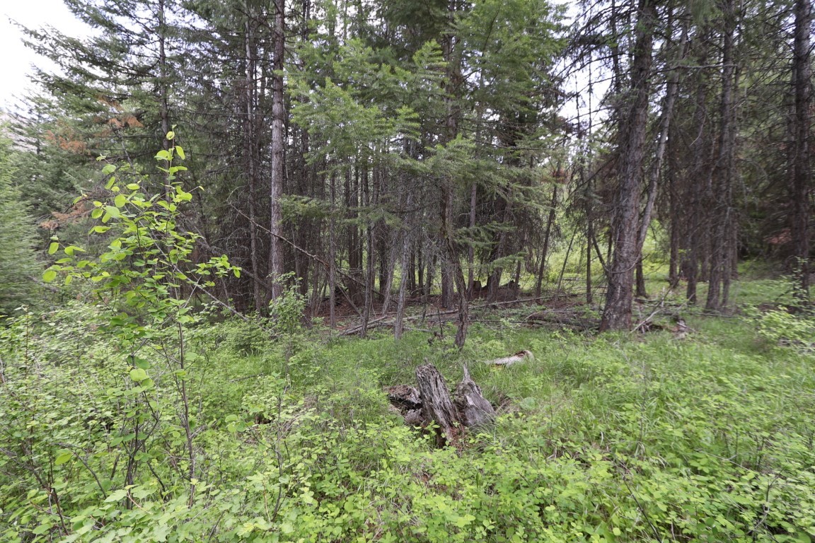 NHN Tract 1B E Fork Combest Creek Road