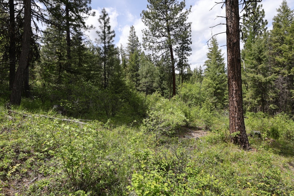 NHN Tract 1B E Fork Combest Creek Road