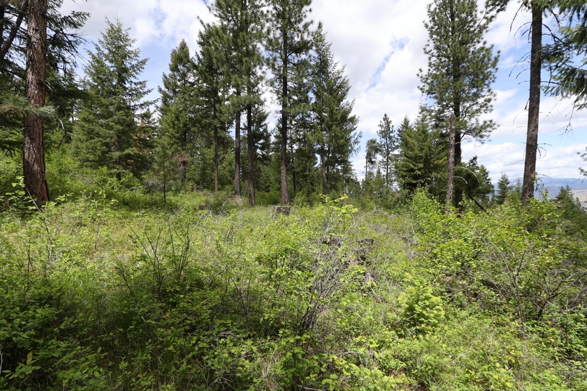 NHN Tract 1B E Fork Combest Creek Road