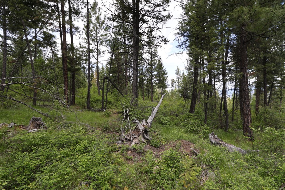 NHN Tract 1B E Fork Combest Creek Road