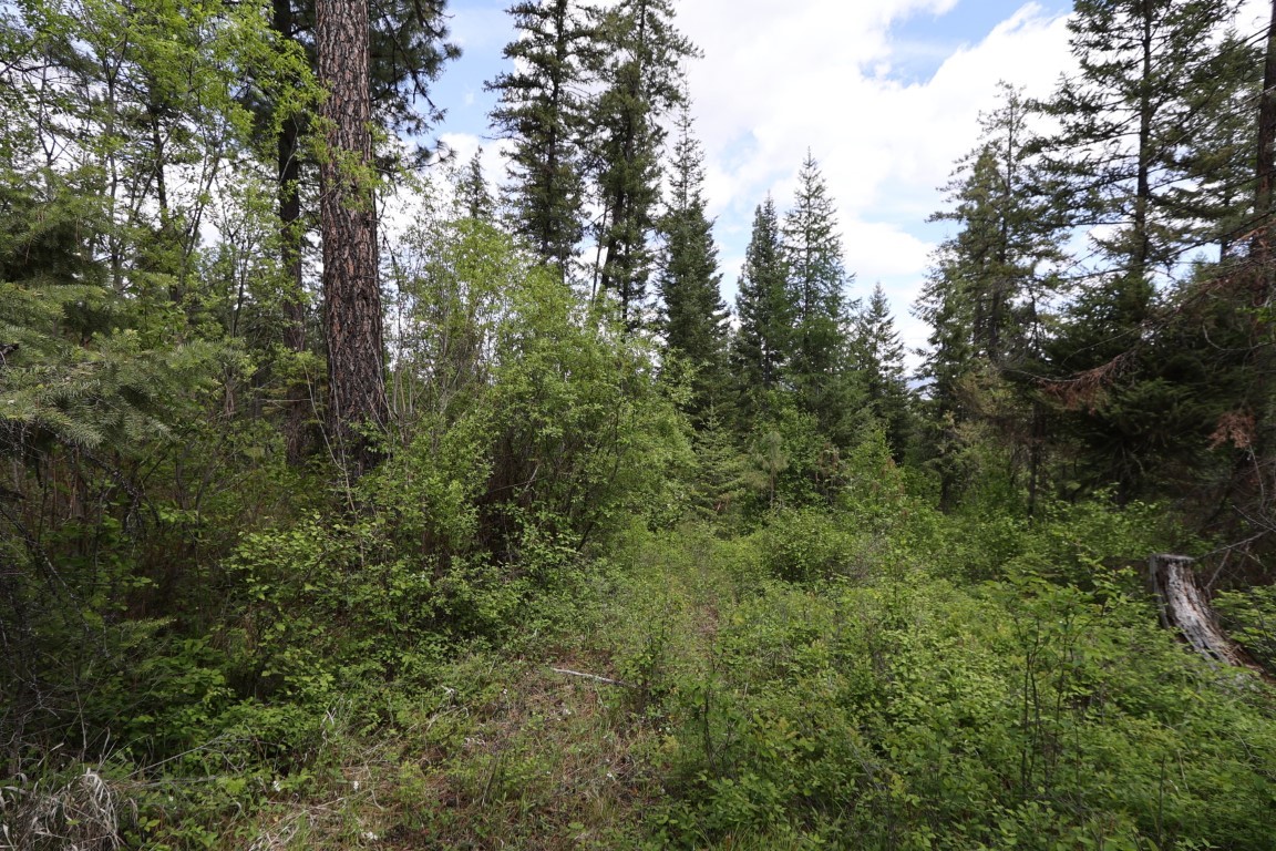 NHN Tract 1B E Fork Combest Creek Road