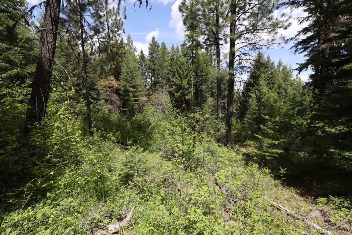 NHN Tract 1B E Fork Combest Creek Road