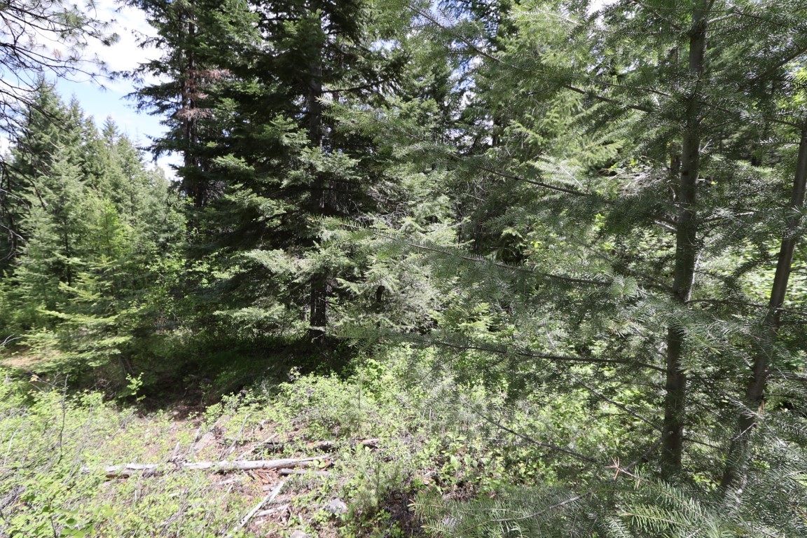 NHN Tract 1B E Fork Combest Creek Road