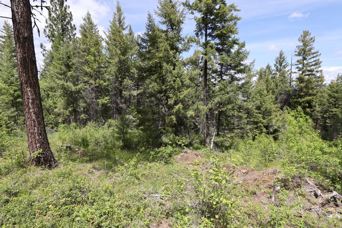 NHN Tract 1B E Fork Combest Creek Road