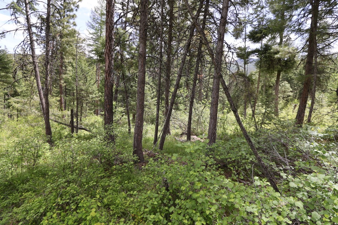 NHN Tract 1B E Fork Combest Creek Road