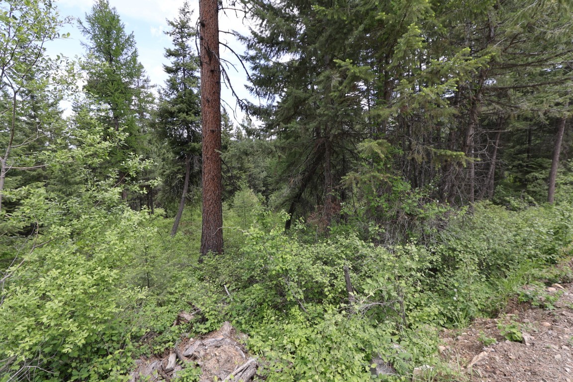 NHN Tract 1B E Fork Combest Creek Road