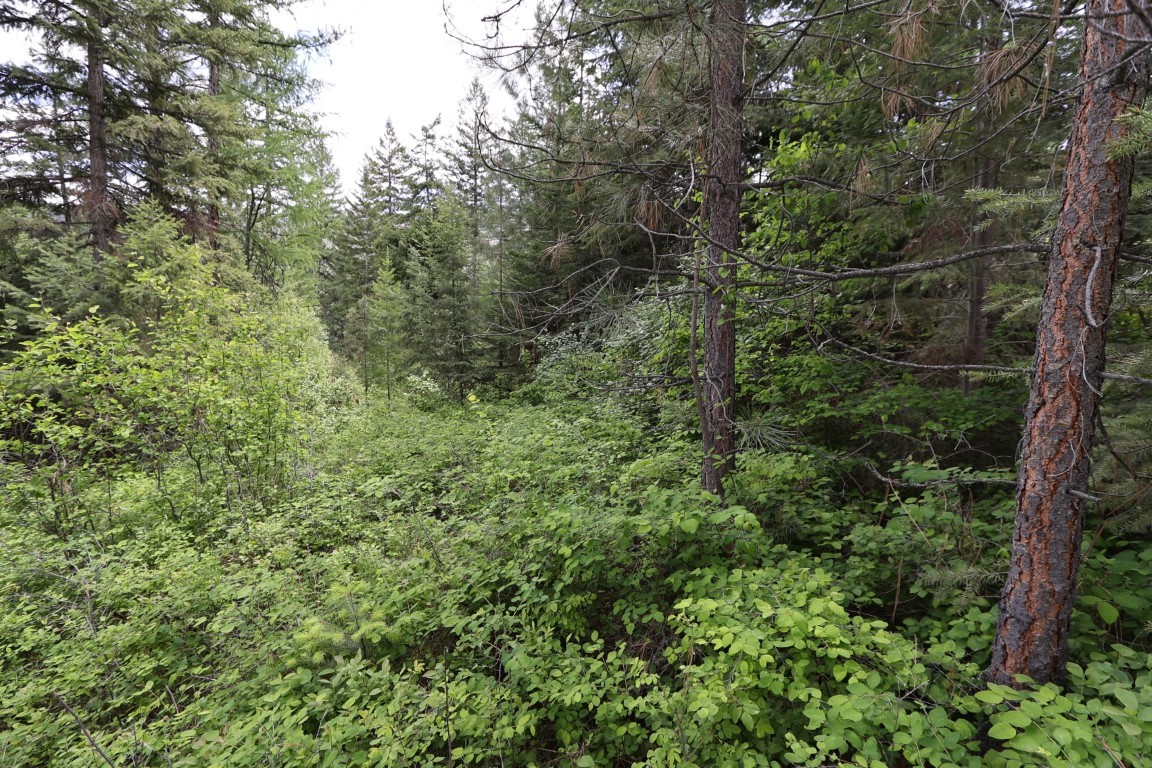 NHN Tract 1B E Fork Combest Creek Road