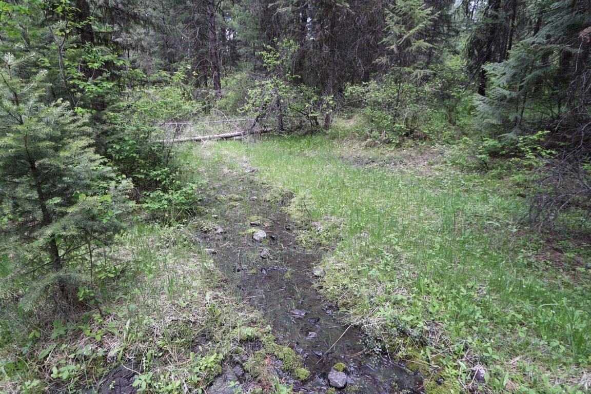 NHN Tract 1B E Fork Combest Creek Road