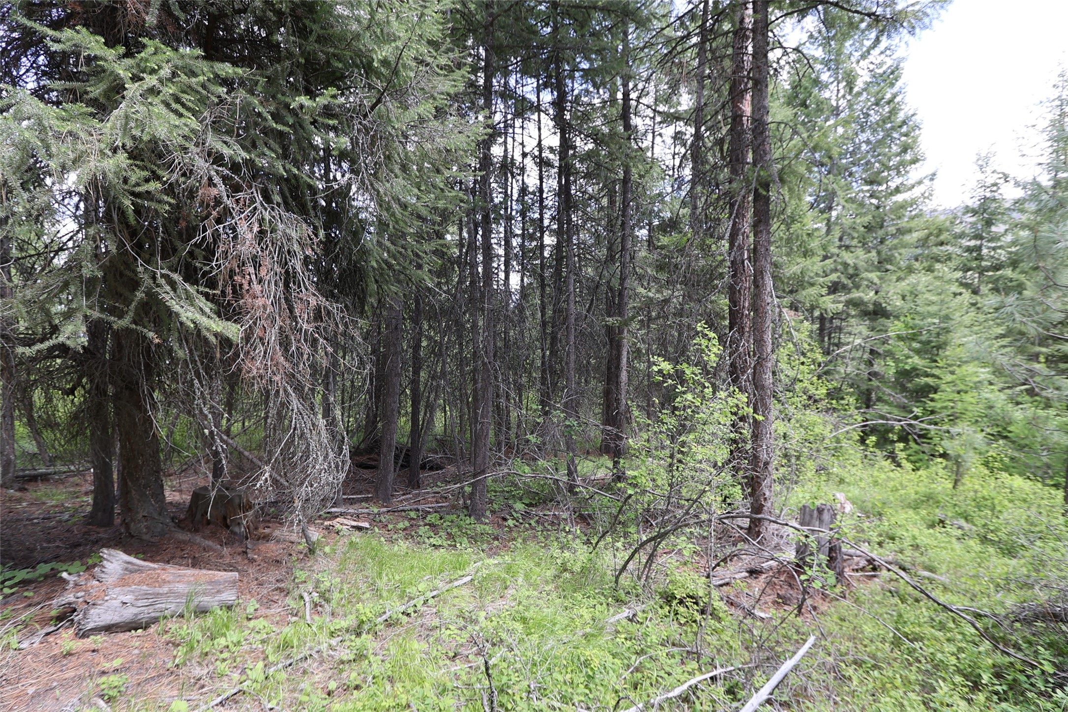 NHN Tract 1B E Fork Combest Creek Road