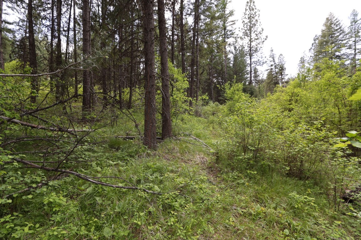 NHN Tract 1B E Fork Combest Creek Road