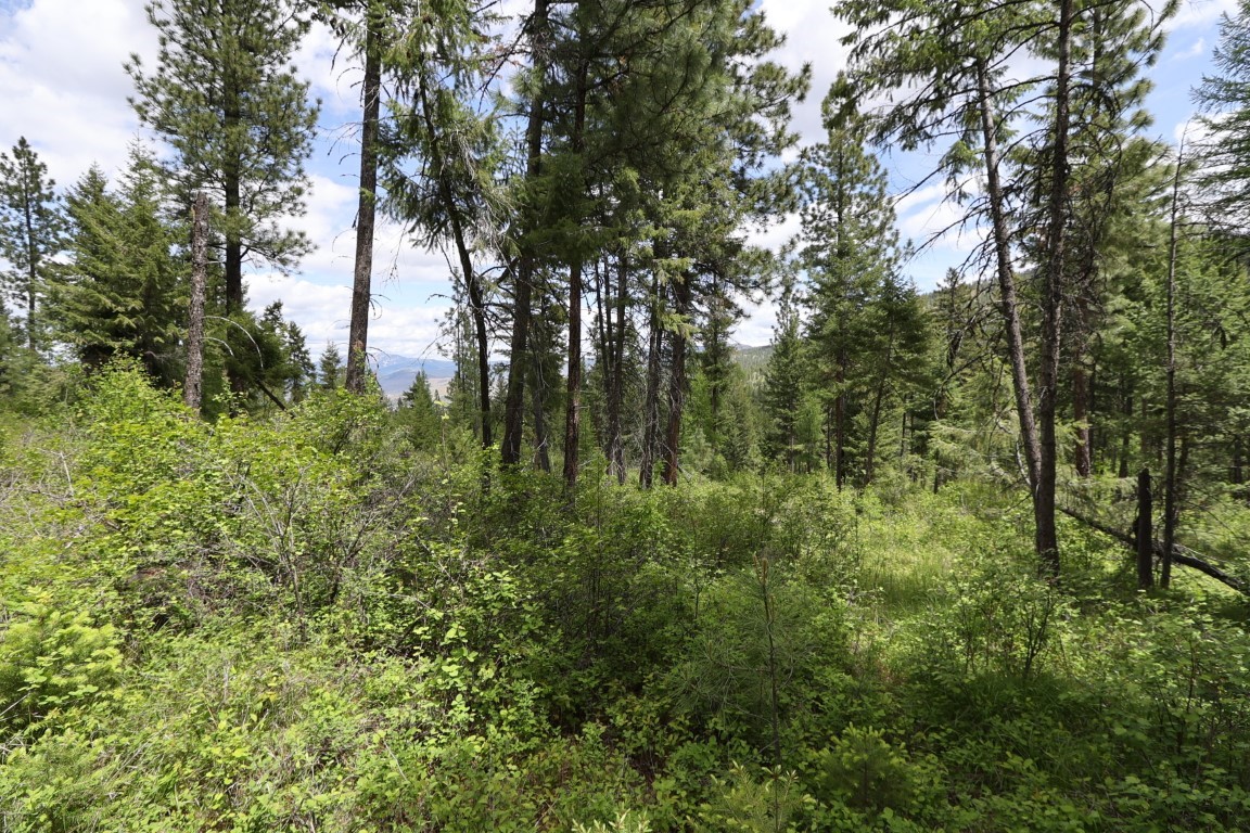 NHN Tract 1B E Fork Combest Creek Road