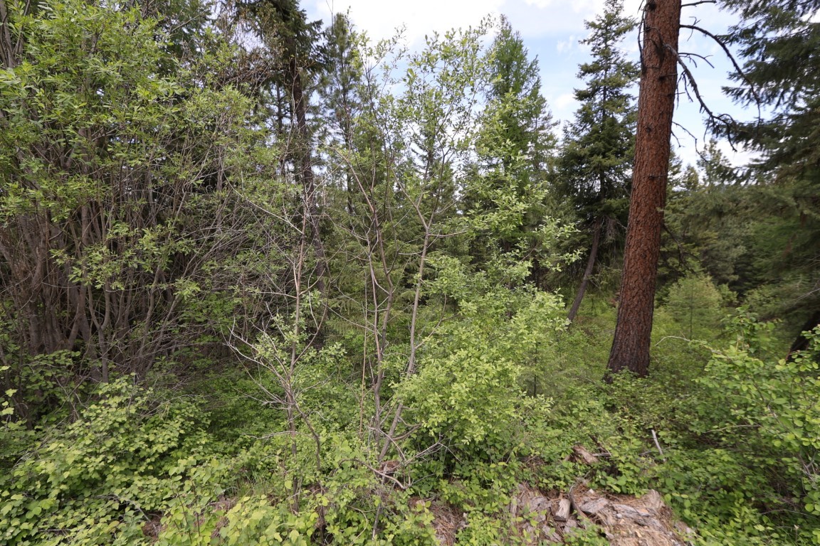 NHN Tract 1B E Fork Combest Creek Road