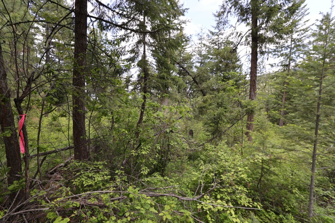 NHN Tract 1B E Fork Combest Creek Road