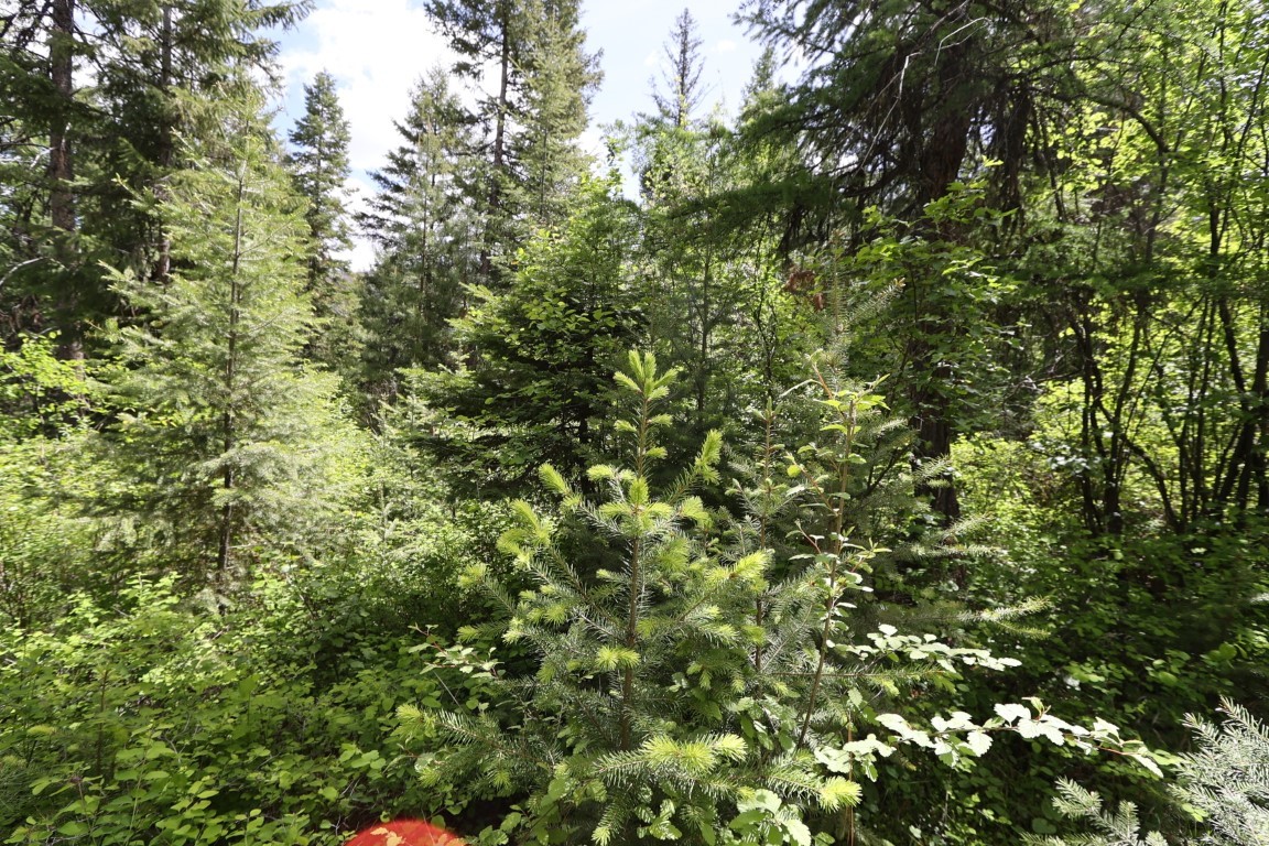 NHN Tract 1B E Fork Combest Creek Road