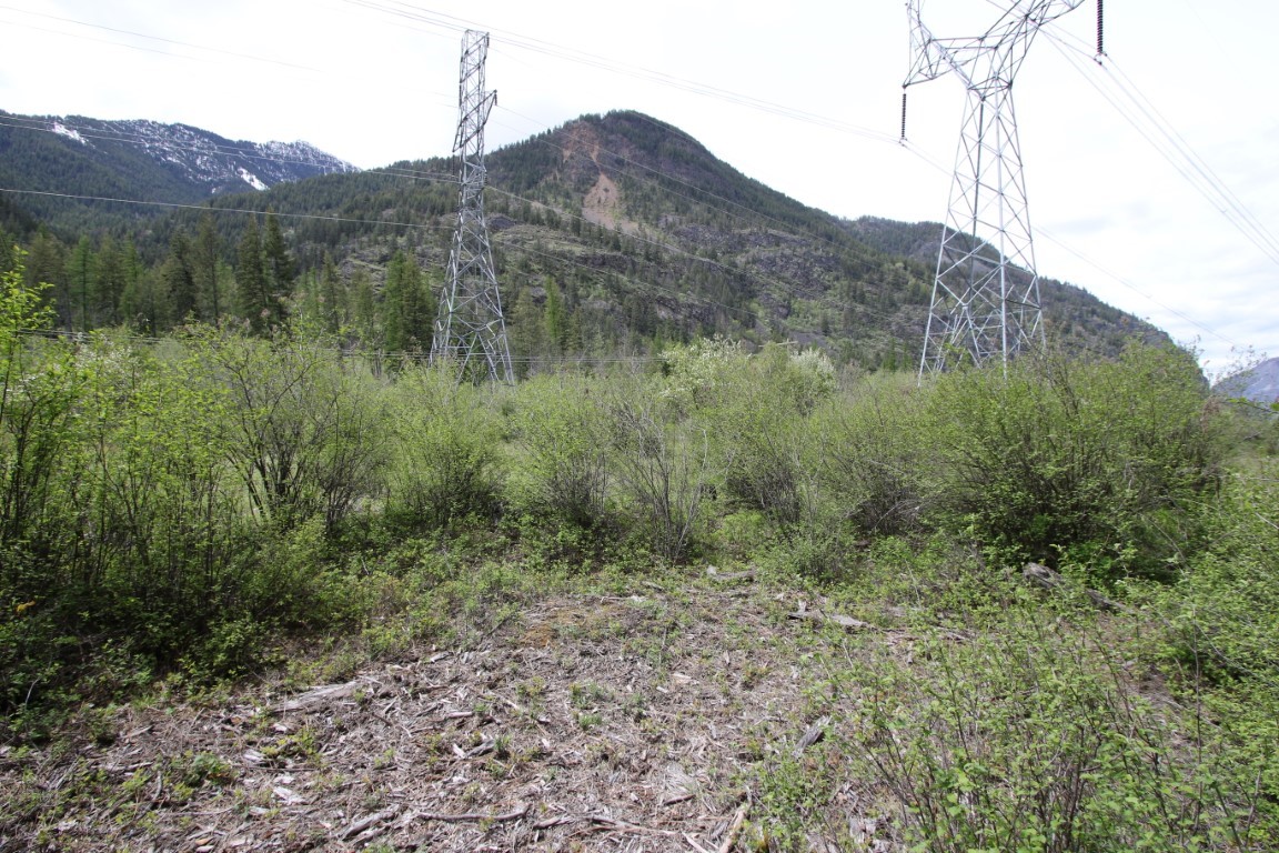 Brush-covered land beneath transmission towers, with forested mountains and patches of snow behind it.