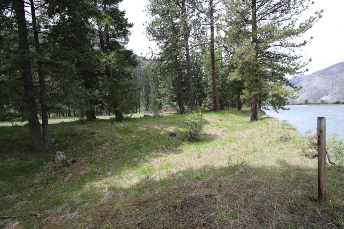 Grassy riverside land among pine trees, with a mountain across the water.