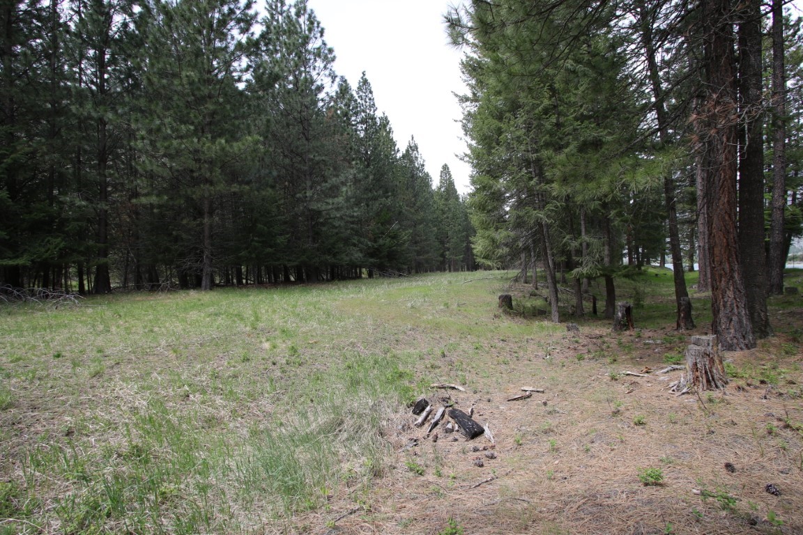 NHN Tract 1-D River Road W