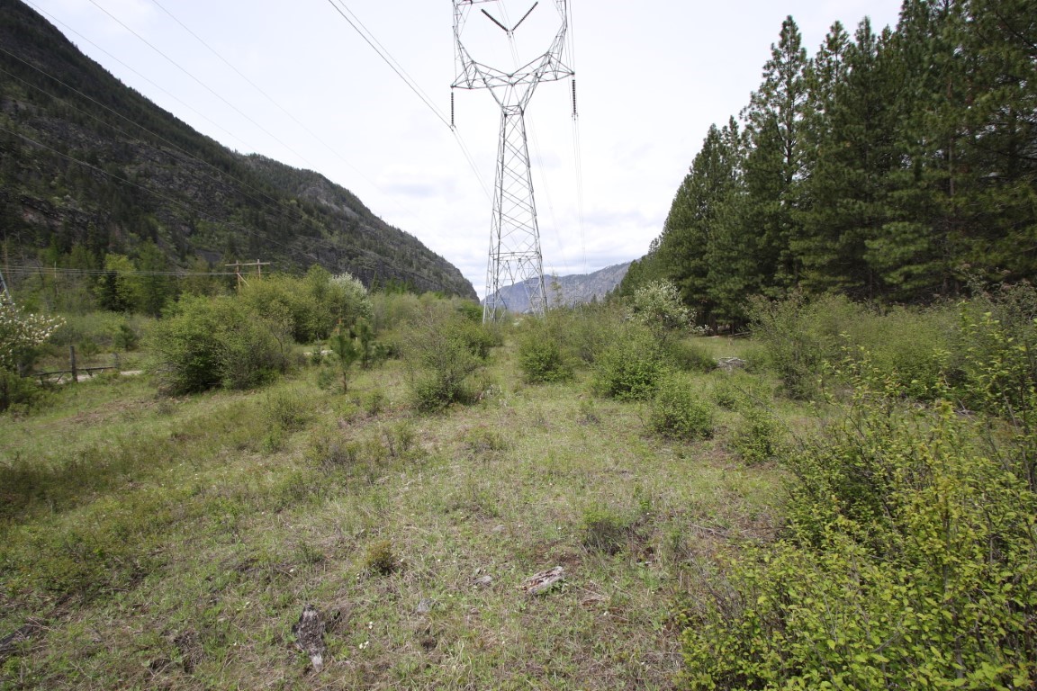 Brushy undeveloped land beneath a transmission tower, with wooded mountain slopes on either side.