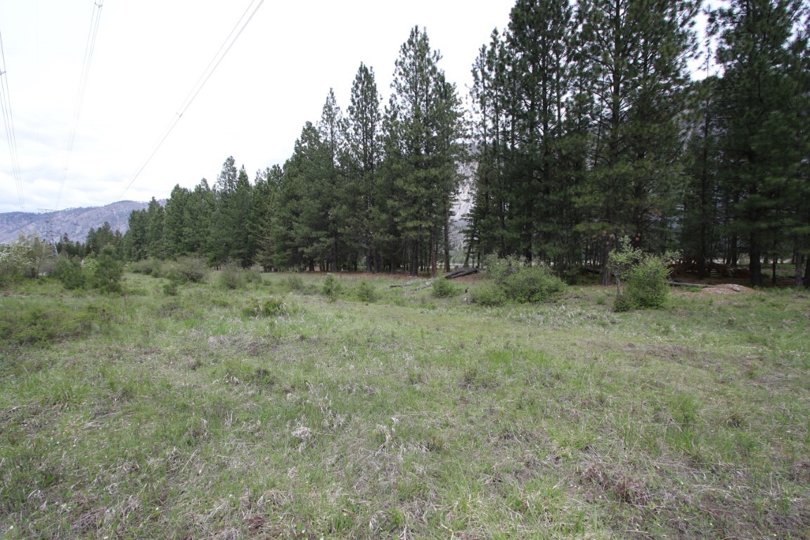 Grassy vacant land bordered by pine trees, with distant mountains and utility lines.