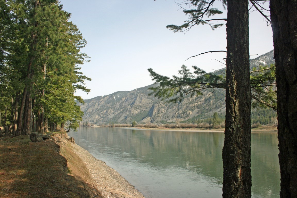 Pine-lined riverbank beside calm water, with forested mountains across the river.