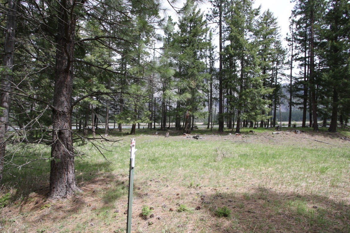 Wooded land clearing with a survey marker, tall evergreens, and distant mountains.