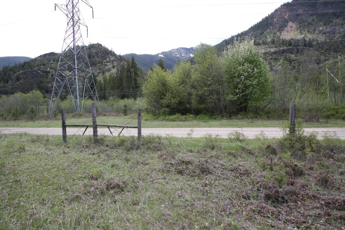Grassy vacant land beside a dirt road, with a transmission tower and forested mountains beyond.