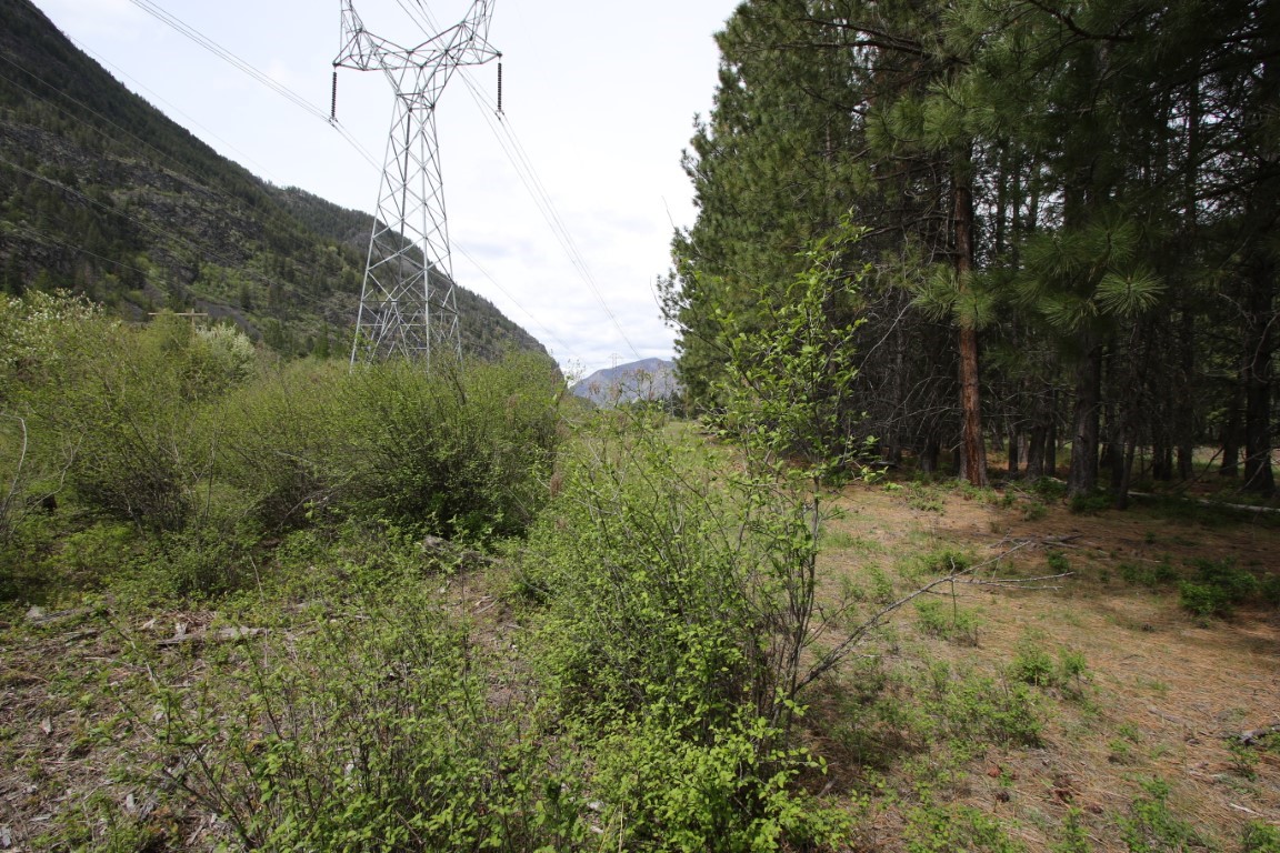 Wooded rural land with a transmission tower, power lines, and a forested mountainside.