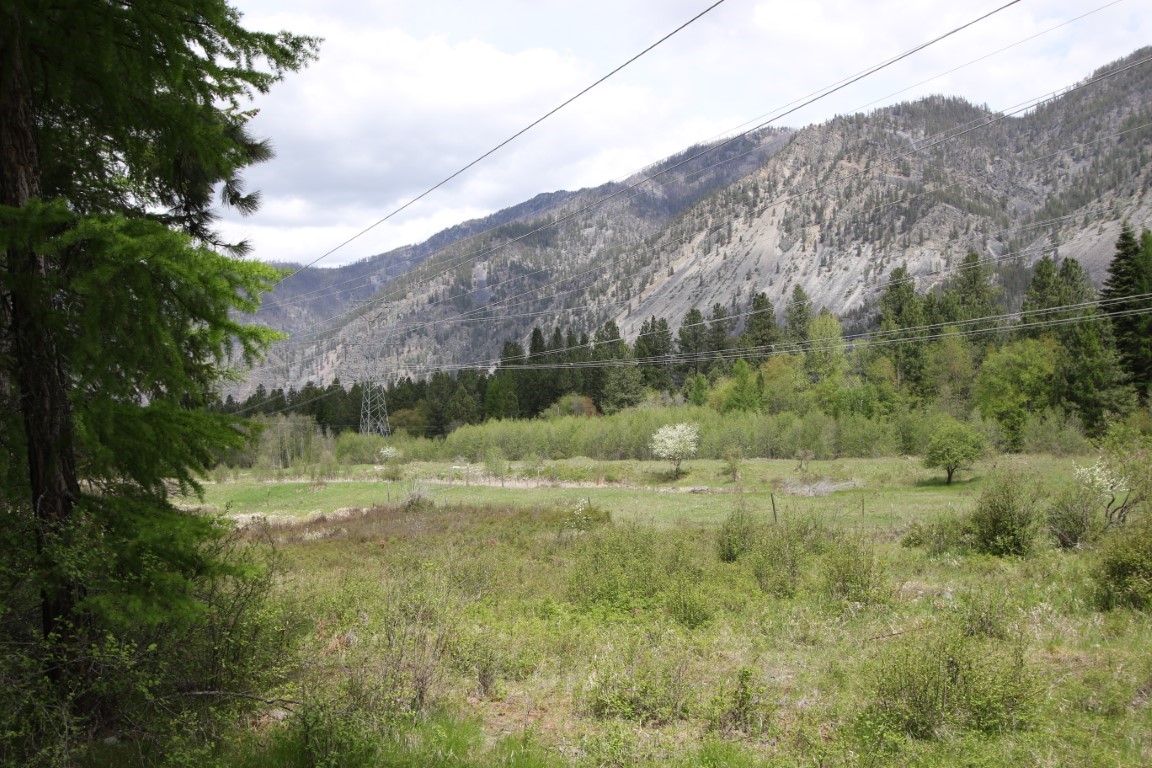 Open grassy land and scattered trees beneath a rocky mountain slope crossed by utility lines.