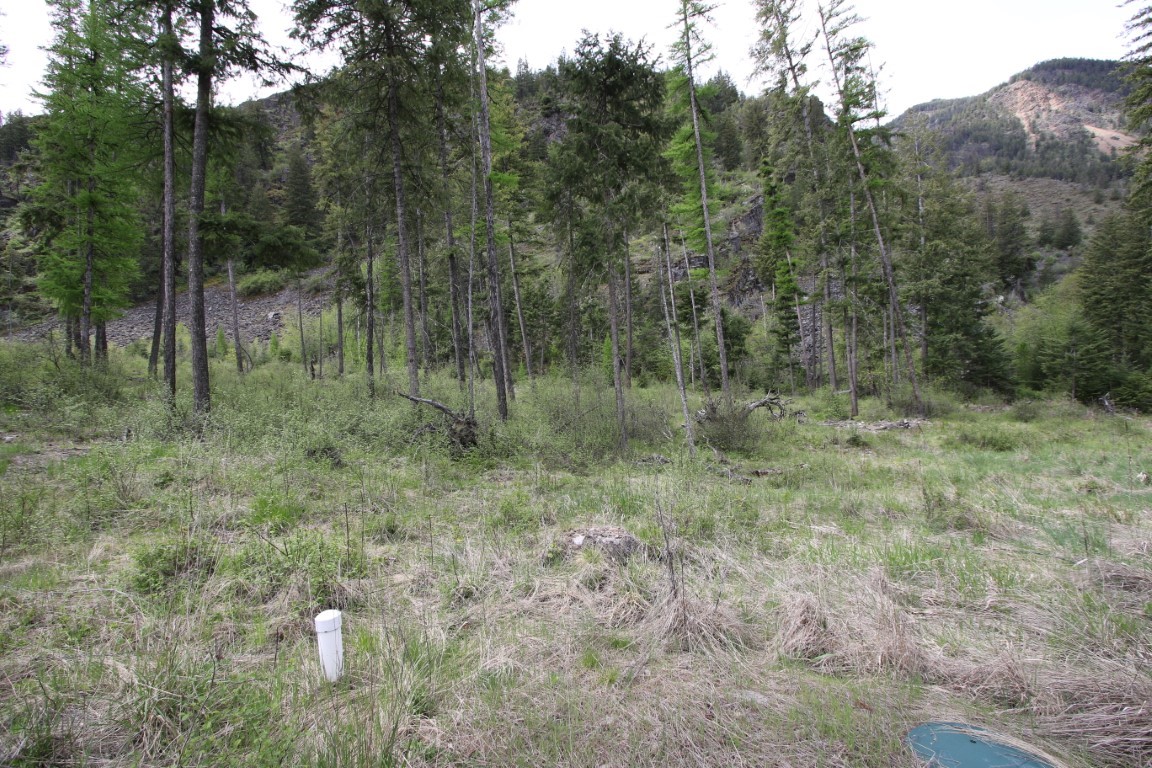 Wooded vacant land with a grassy clearing, tall trees, and a forested hillside.
