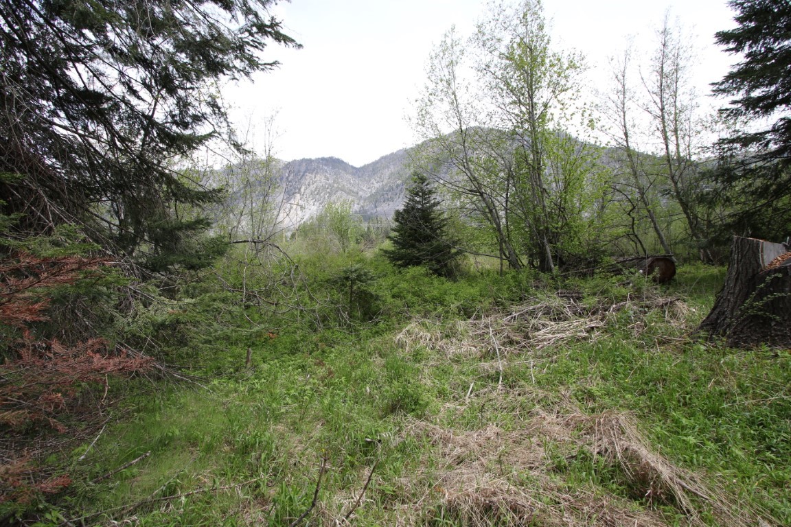 Wooded vacant land with mountain views and grassy brush-covered ground.