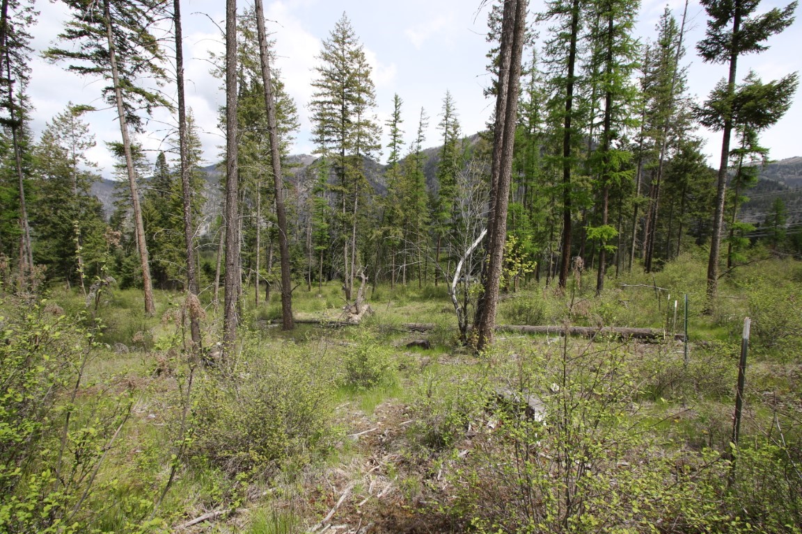 Wooded vacant land with a grassy clearing, scattered fencing, and mountain views.