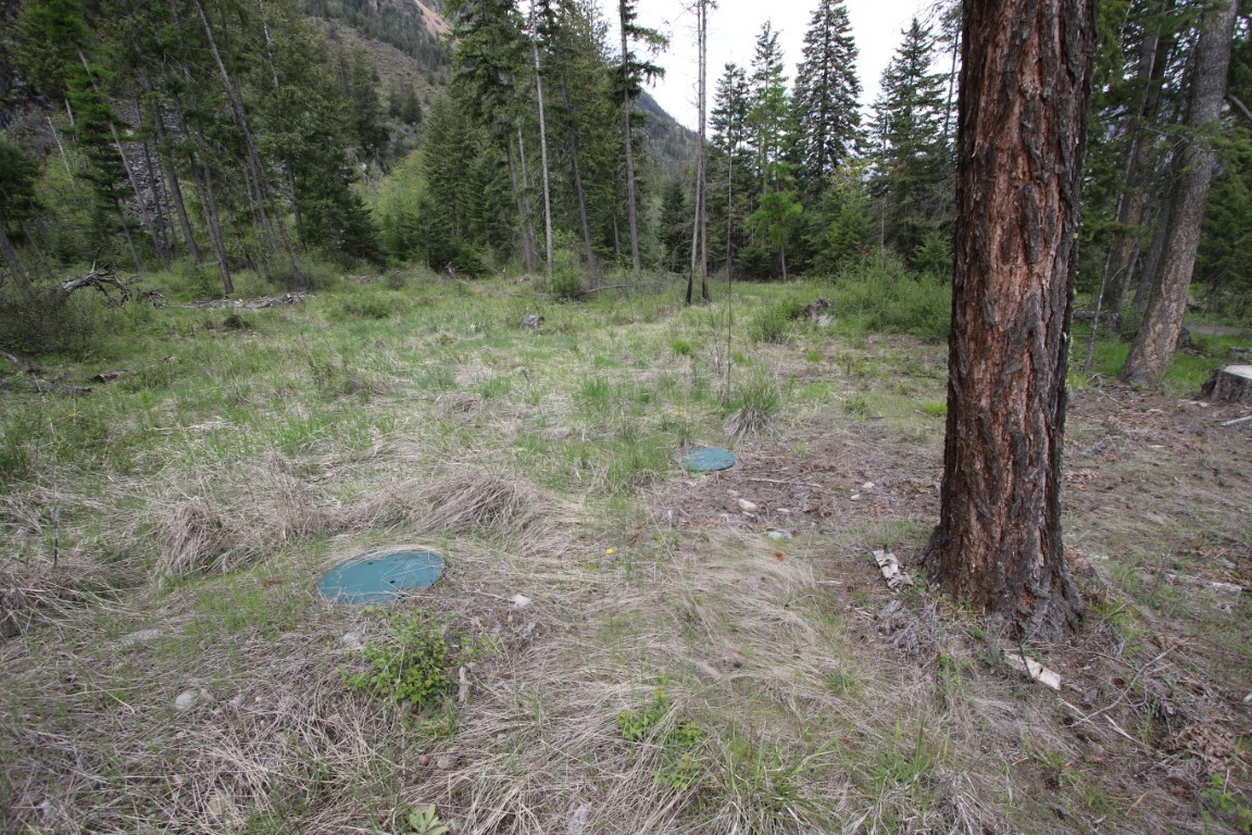 Wooded land clearing with two blue utility covers, evergreen trees, and a mountain slope.