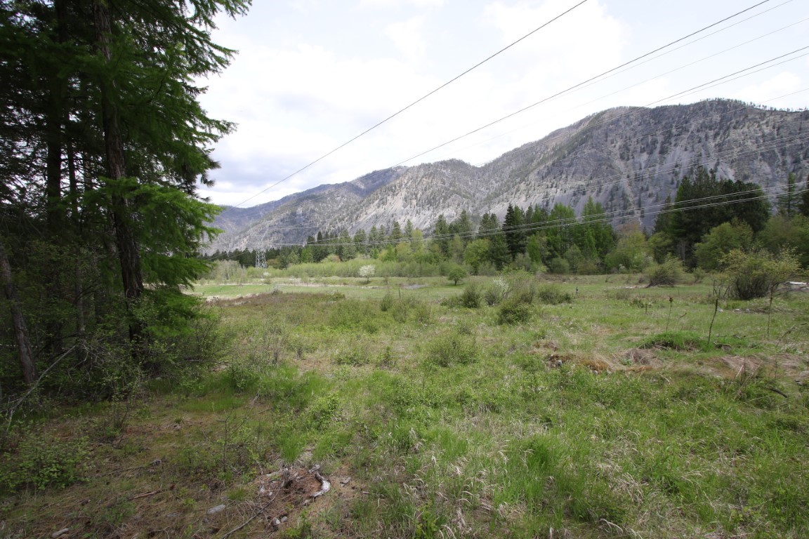 Open grassy land bordered by evergreens, with a mountain ridge and utility lines in the distance.