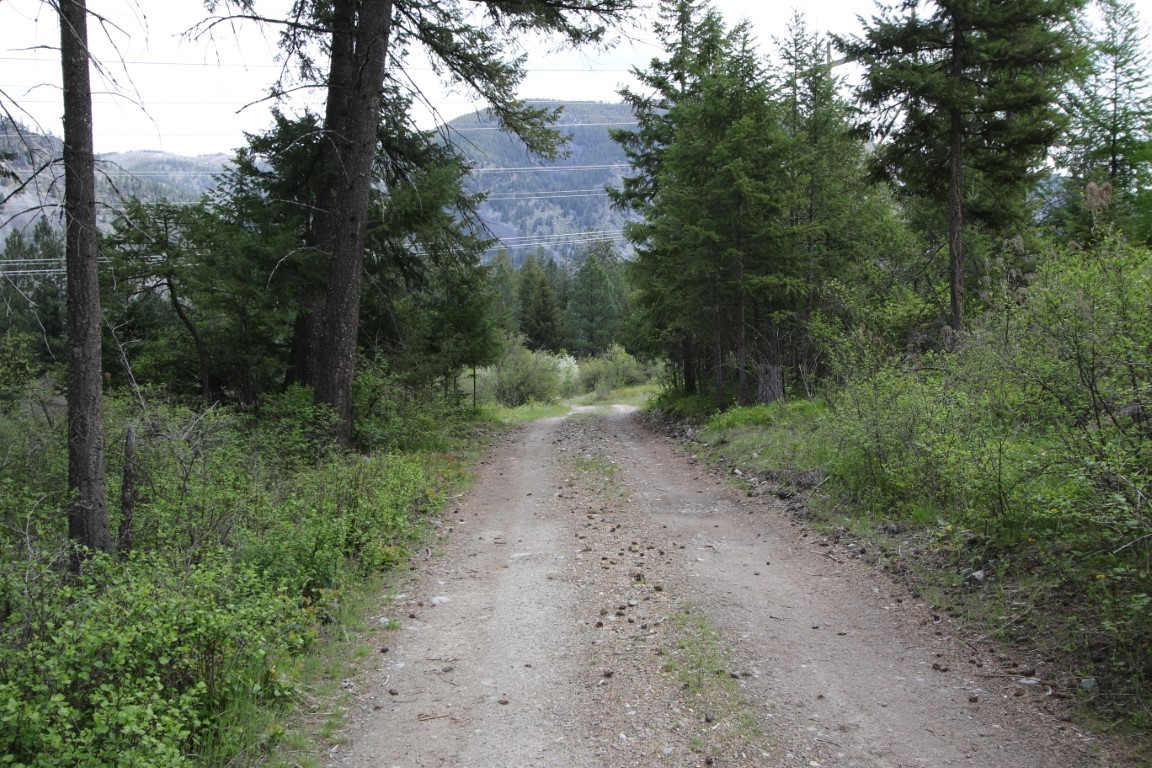 Gravel road through wooded land toward distant forested mountains.